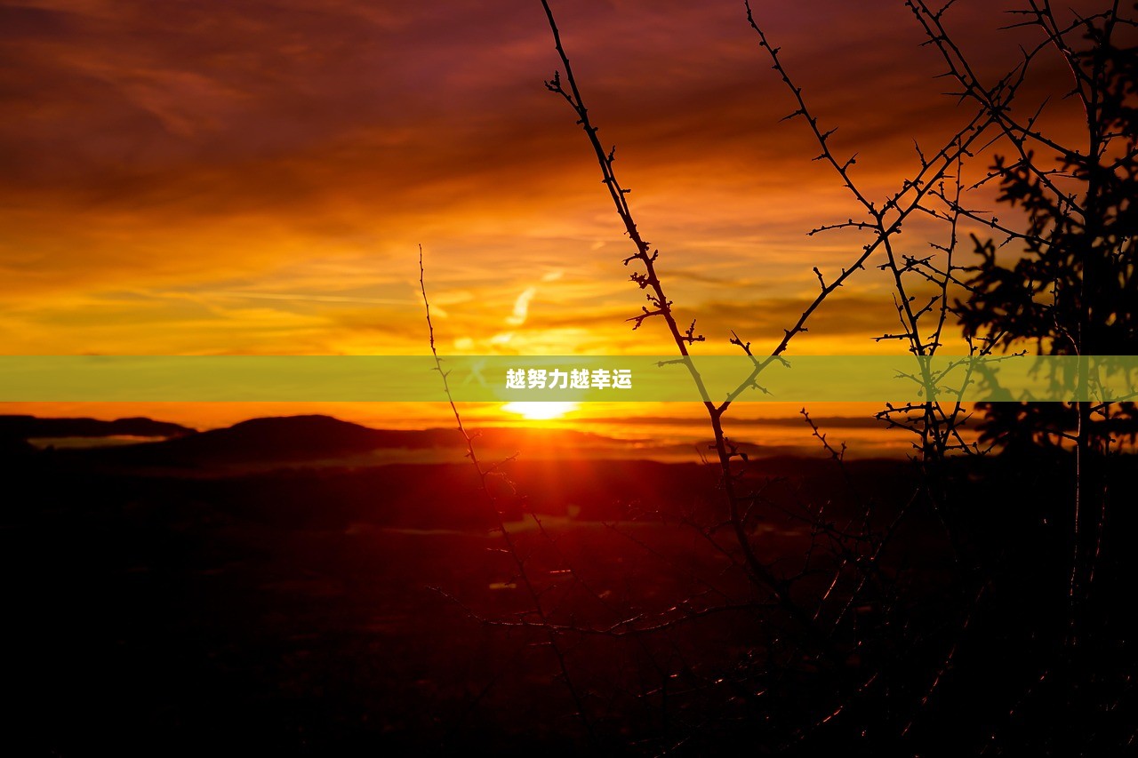 越努力越幸运