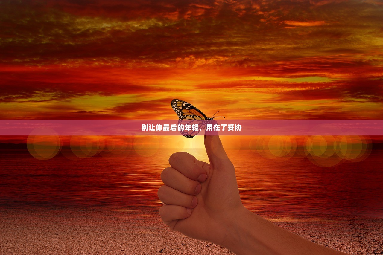 别让你最后的年轻，用在了妥协