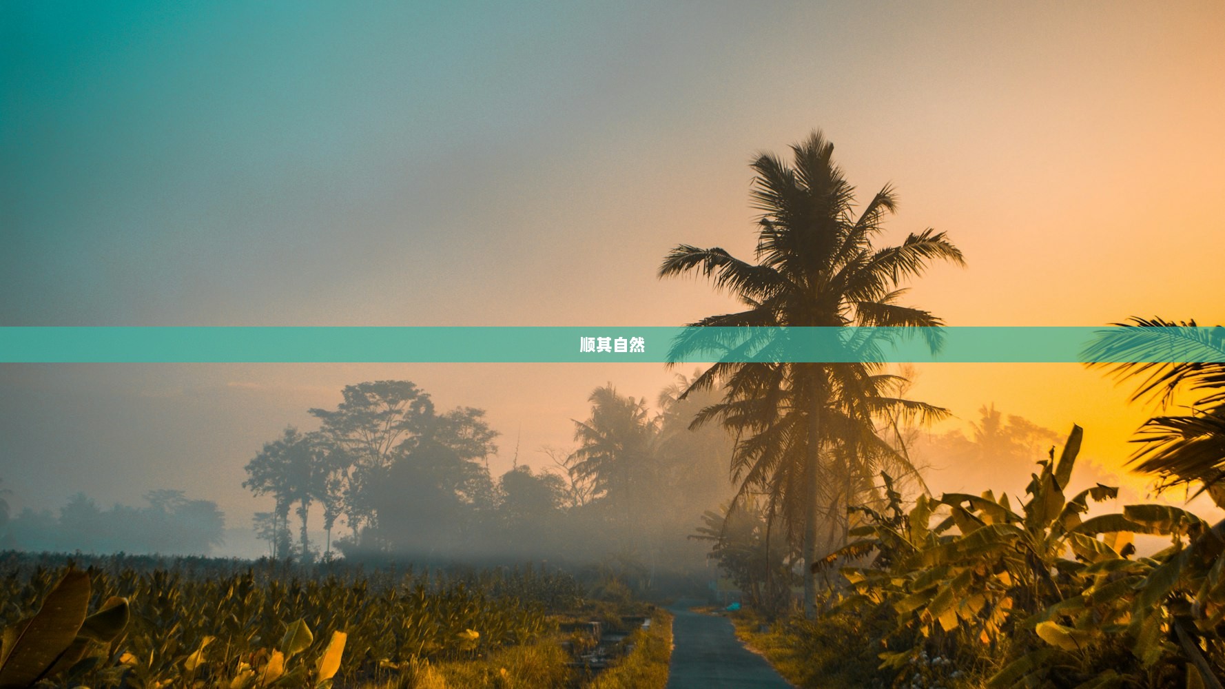 顺其自然