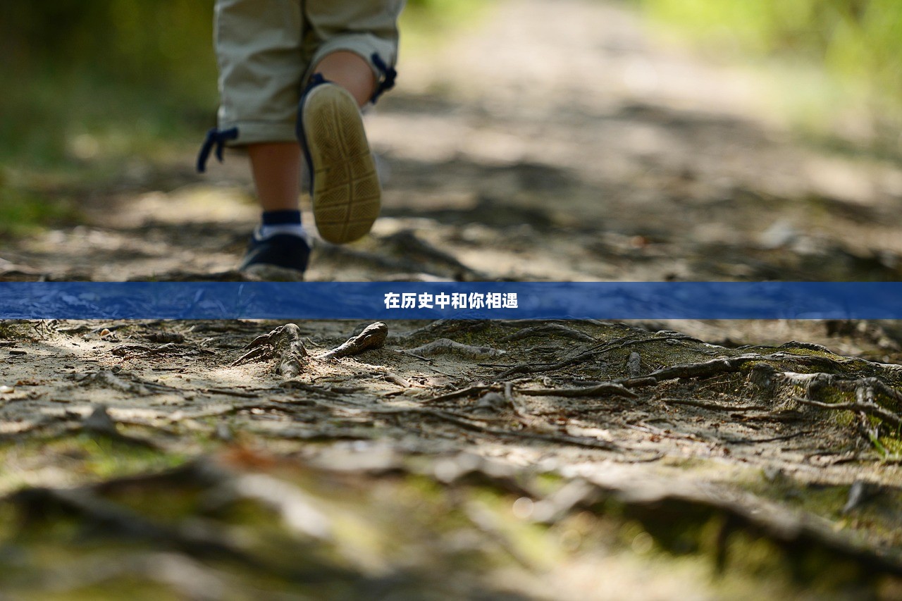 在历史中和你相遇  第1张