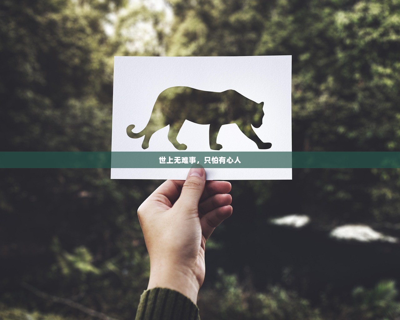 世上无难事，只怕有心人