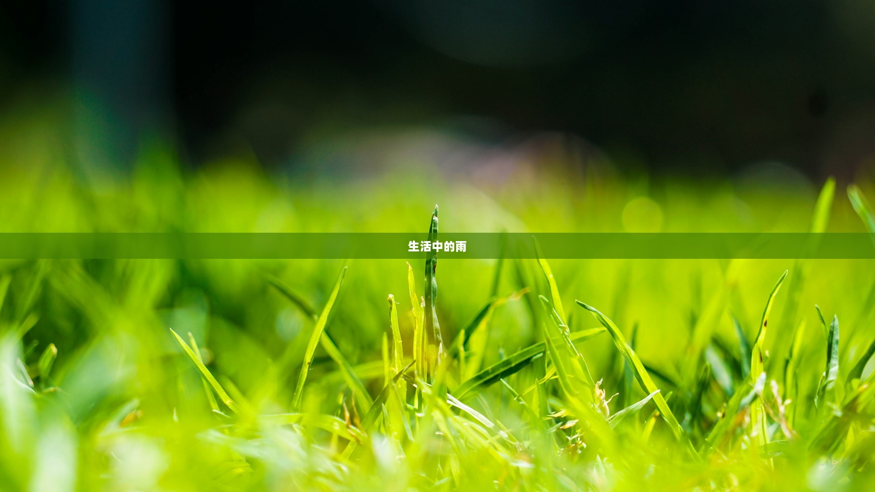 生活中的雨