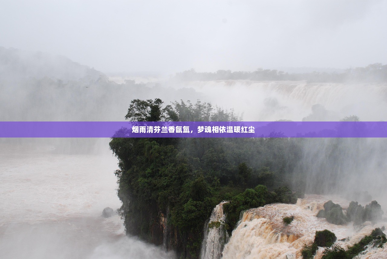 烟雨清芬兰香氤氲，梦魂相依温暖红尘