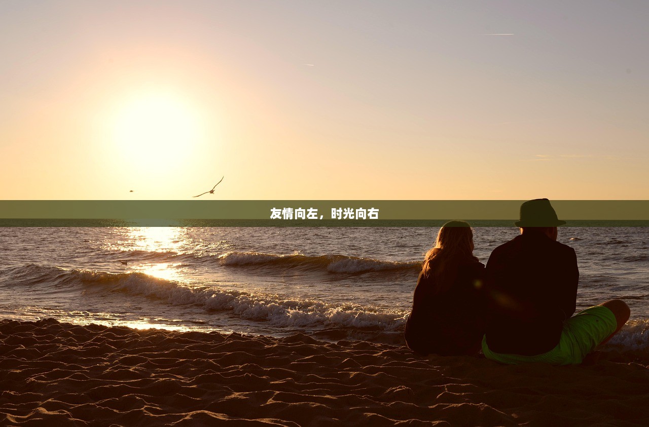 友情向左，时光向右