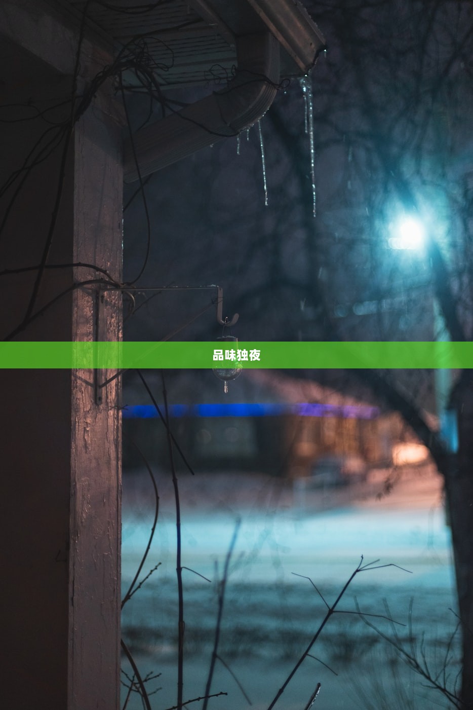 品味独夜