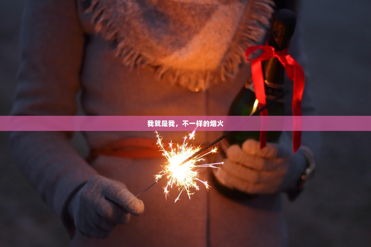 我就是我，不一样的烟火  第1张
