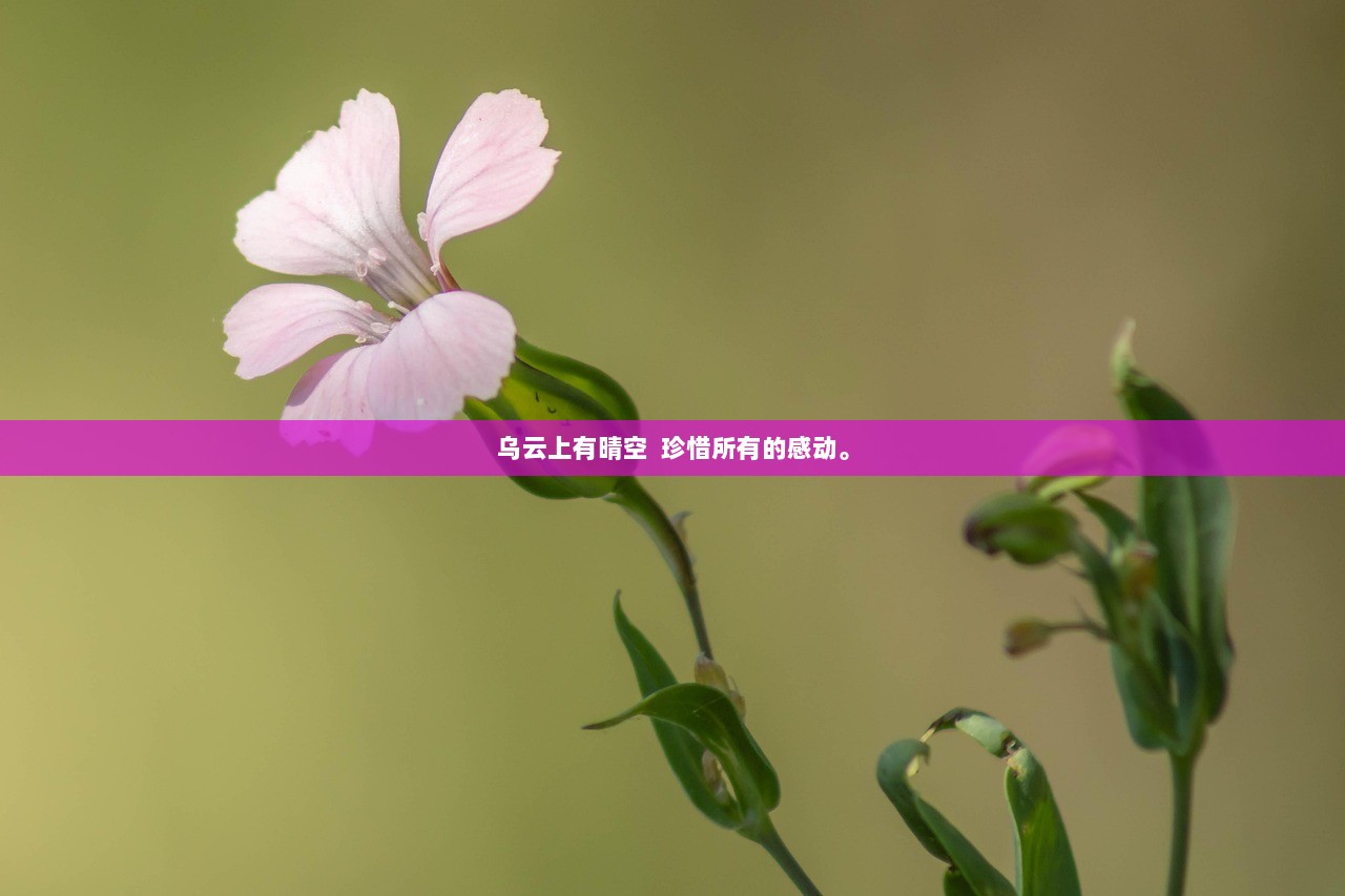 乌云上有晴空  珍惜所有的感动。