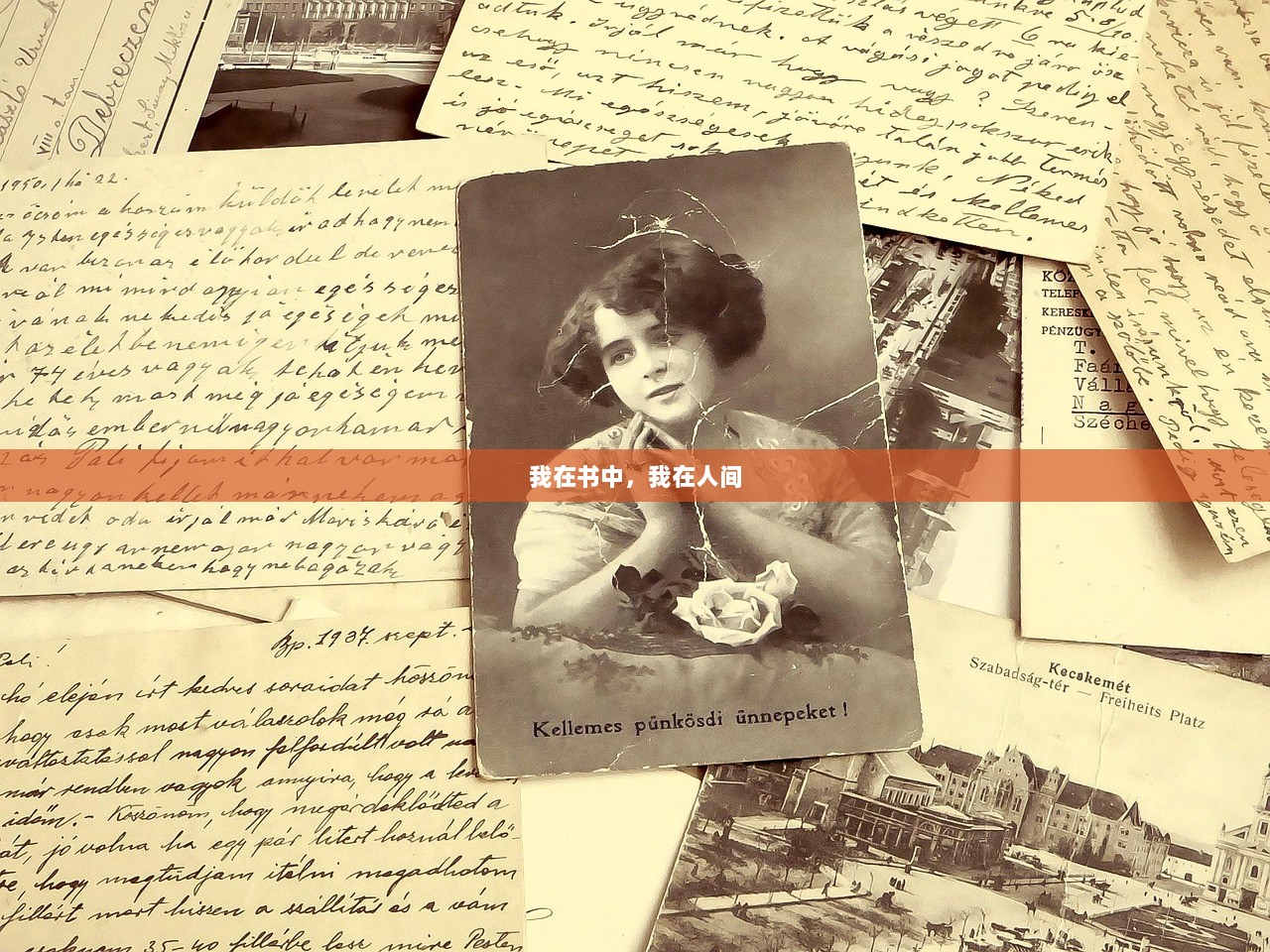 我在书中，我在人间