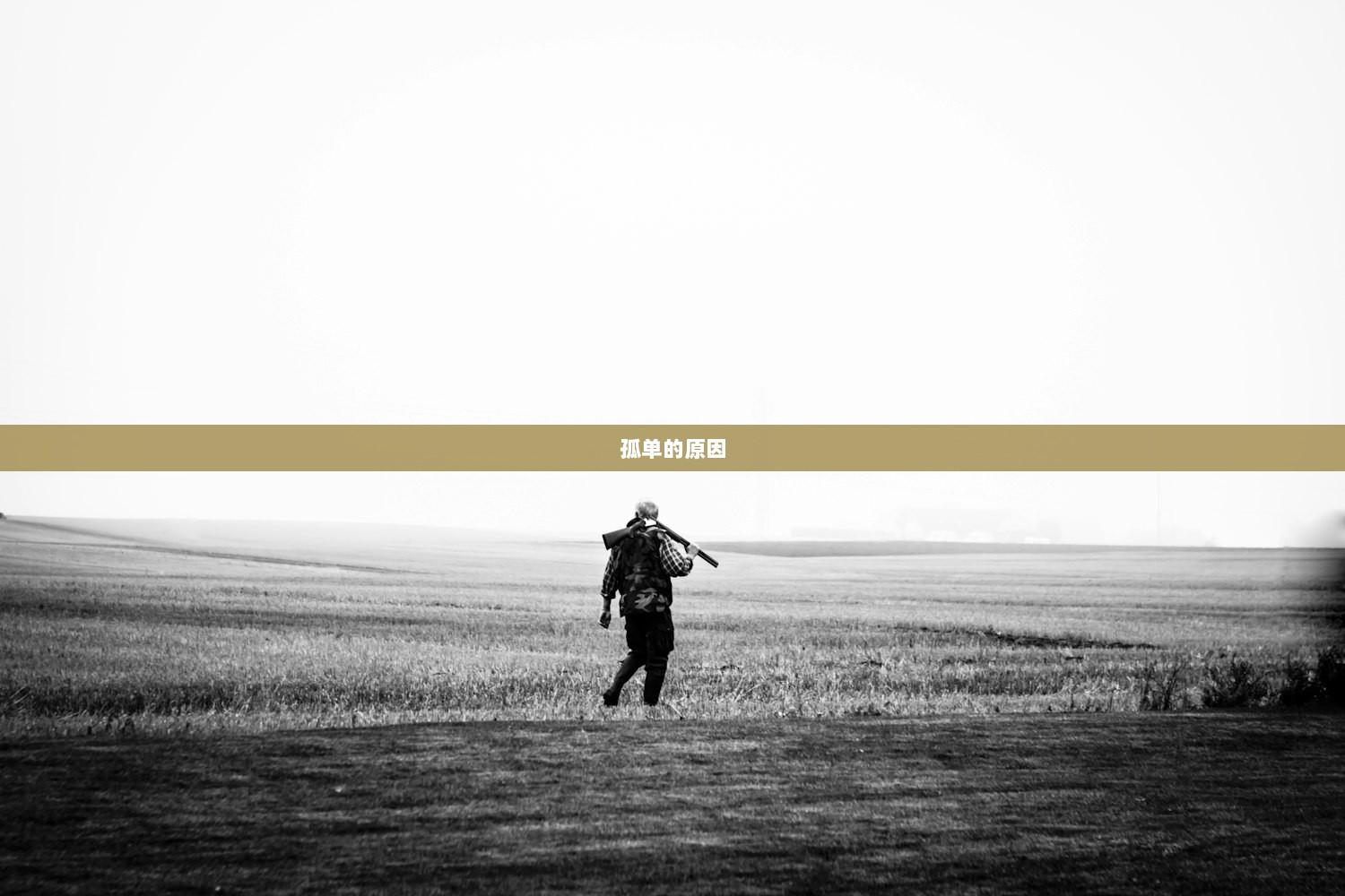 孤单的原因