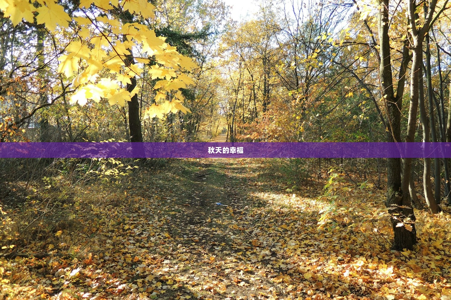 秋天的幸福