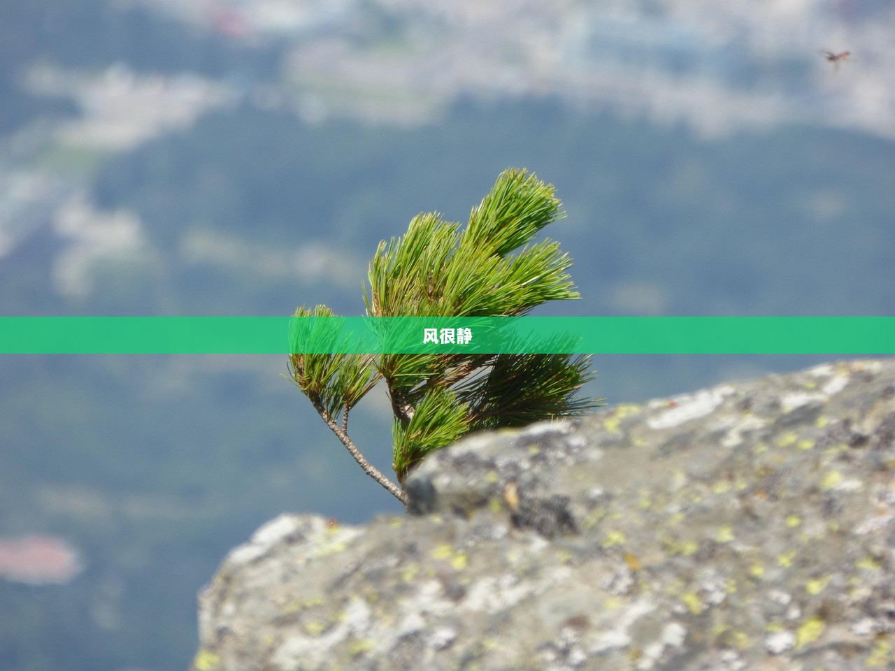 风很静