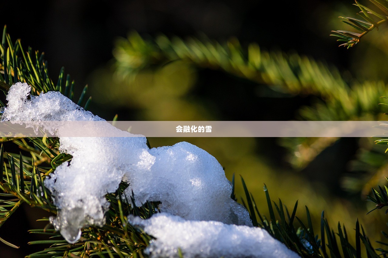 会融化的雪