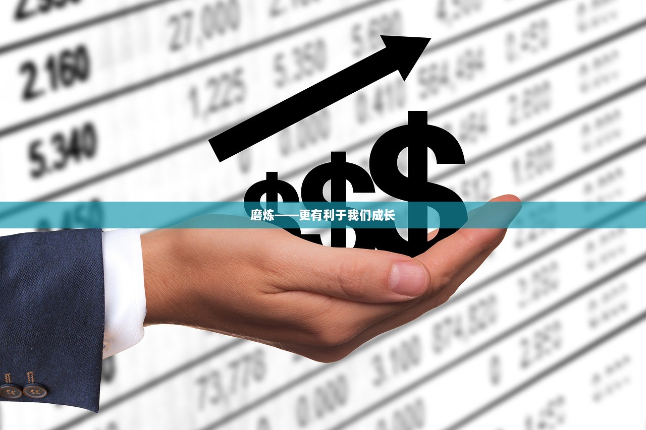 磨炼——更有利于我们成长  第1张
