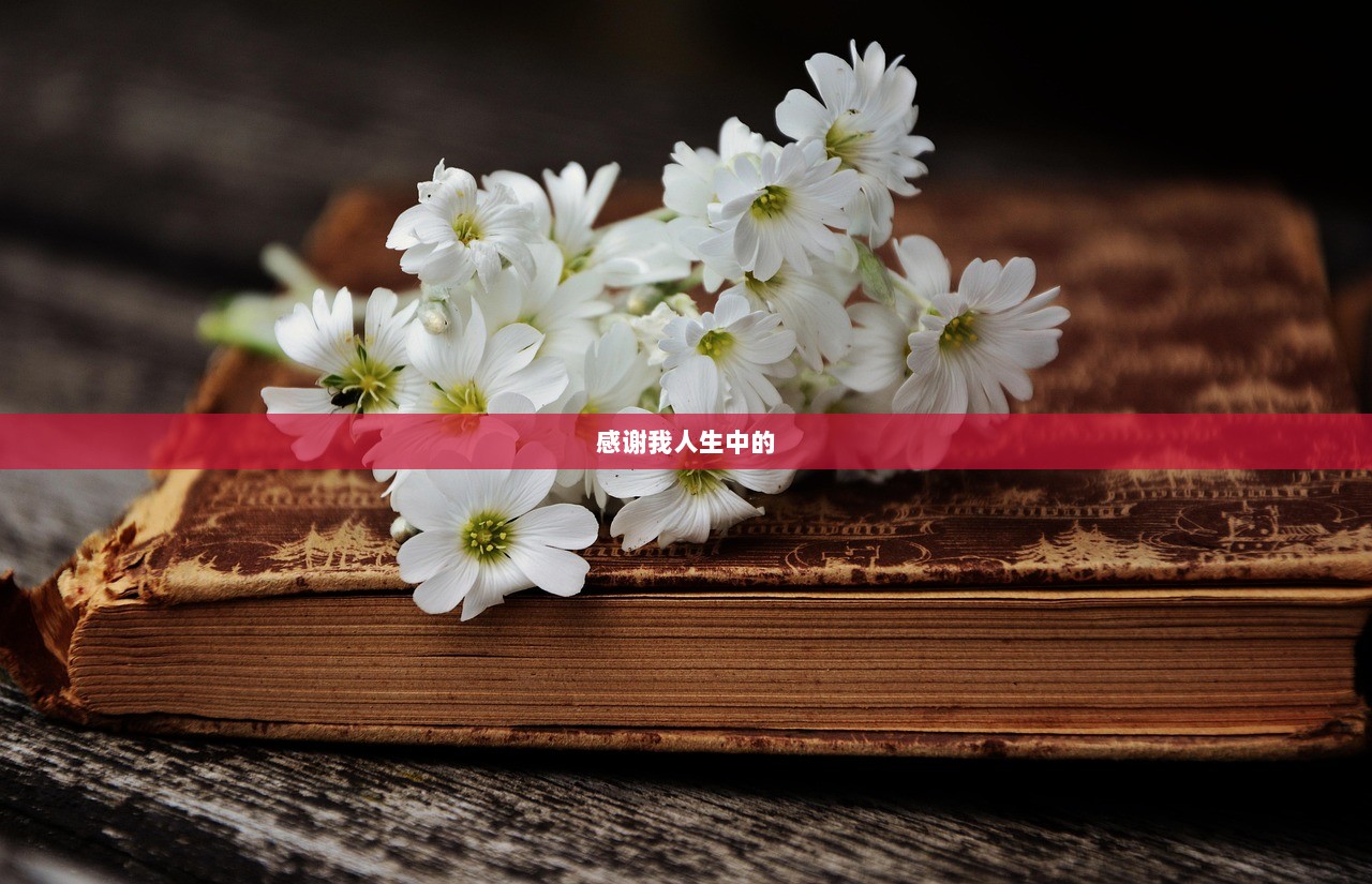 感谢我人生中的