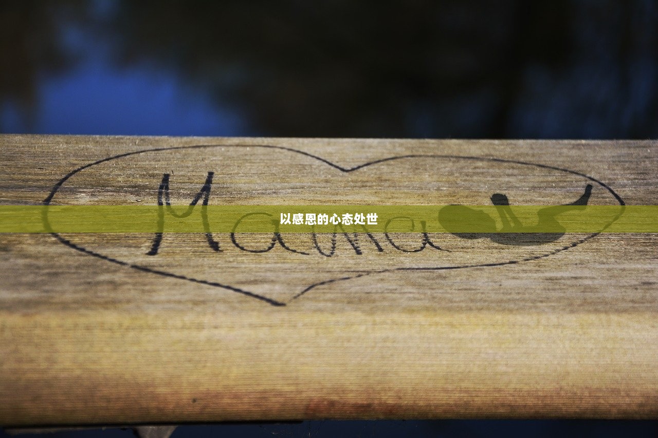 以感恩的心态处世