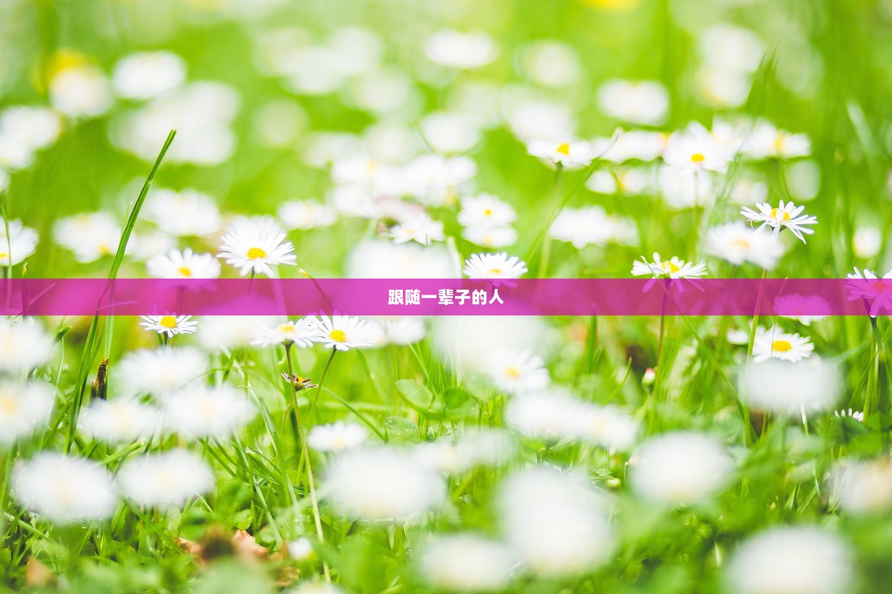 跟随一辈子的人
