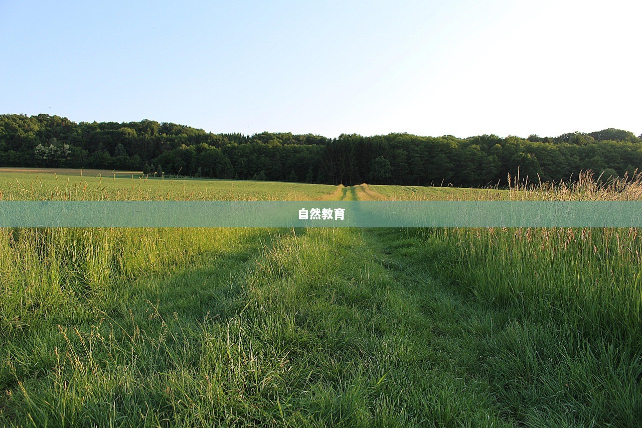 自然教育