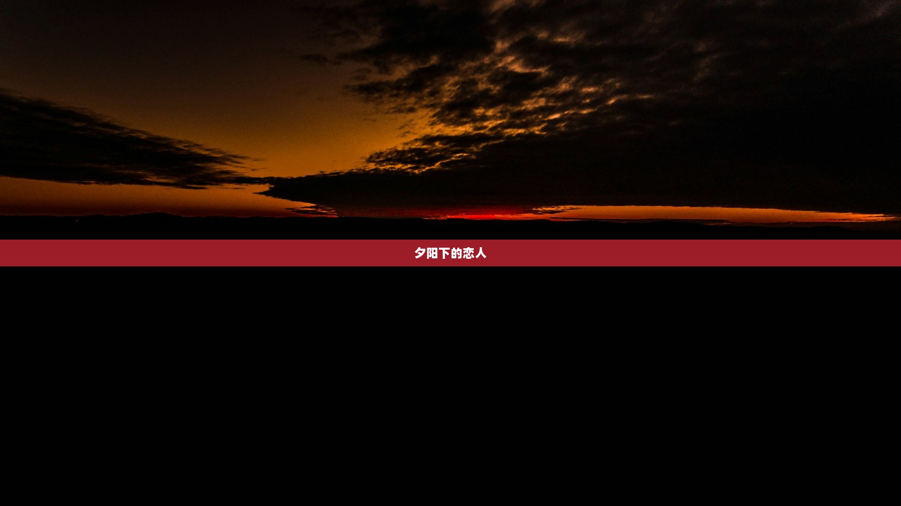 夕阳下的恋人  第1张