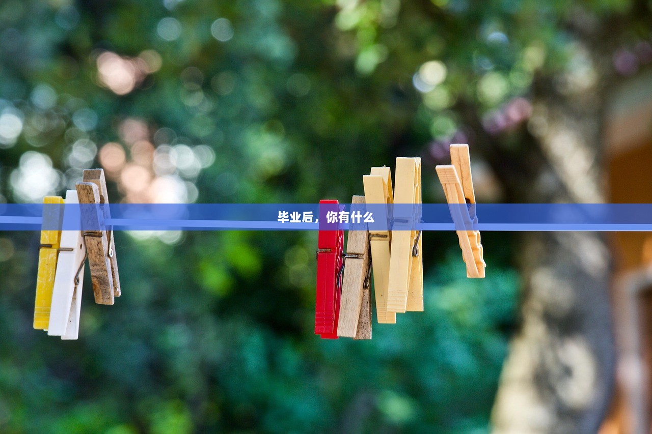 毕业后，你有什么