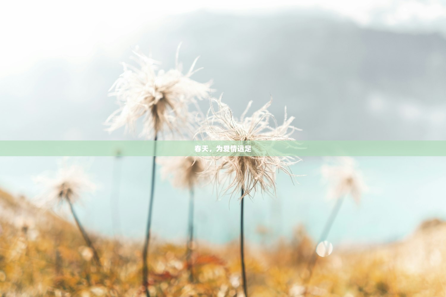 春天，为爱情远足