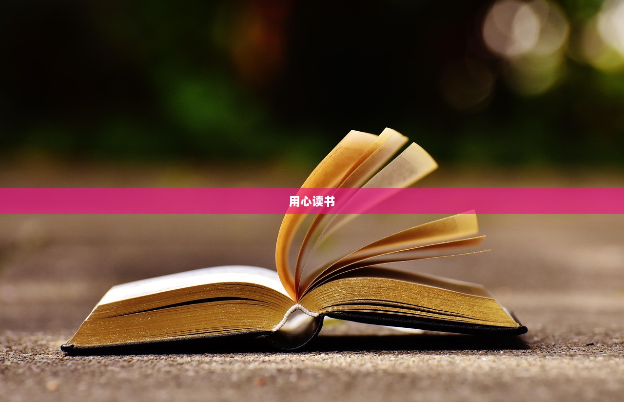 用心读书