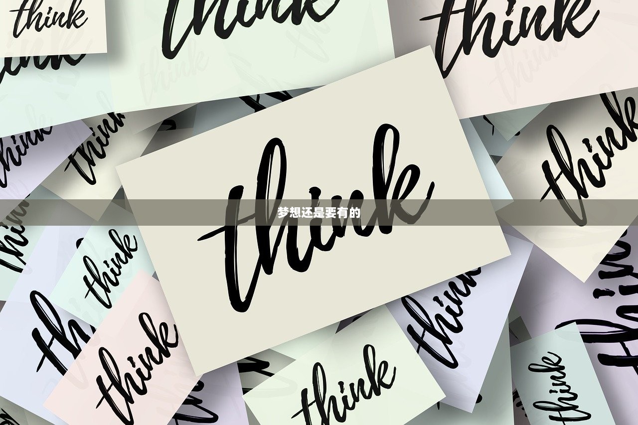 梦想还是要有的