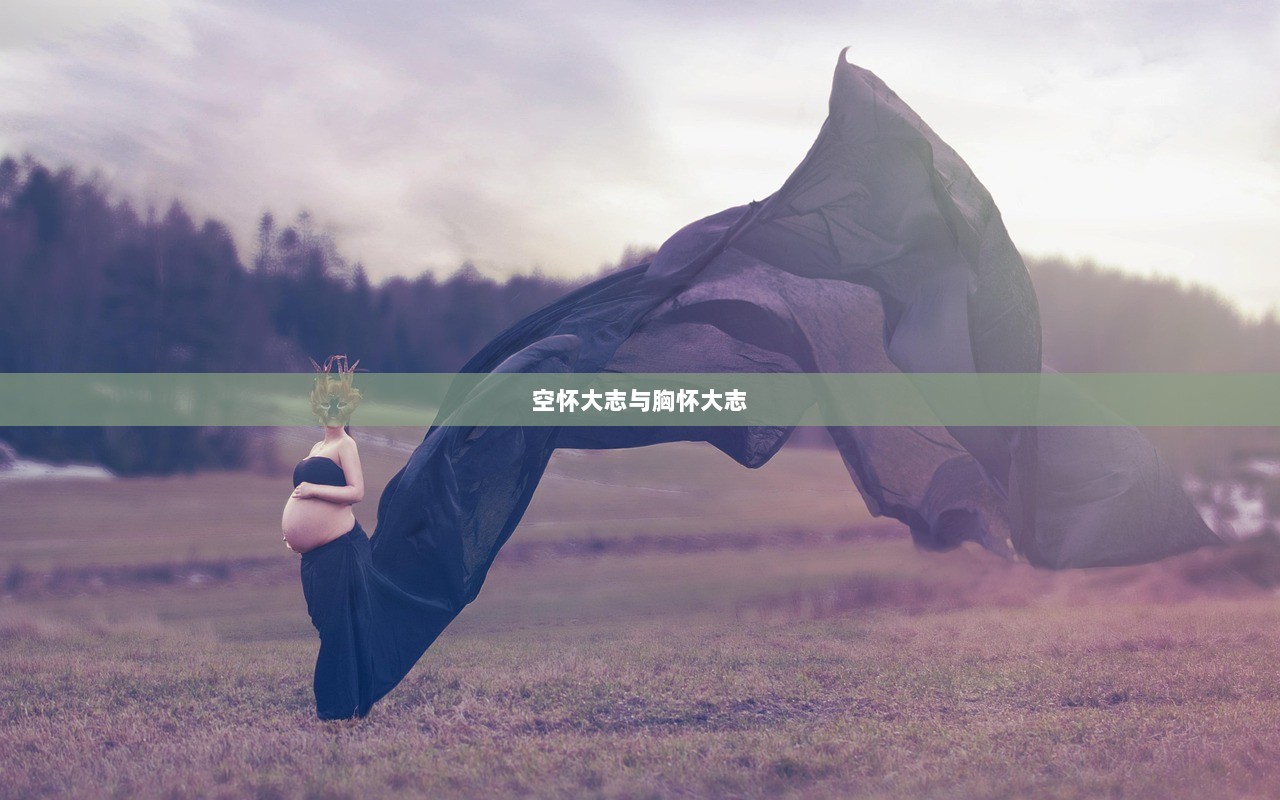 空怀大志与胸怀大志