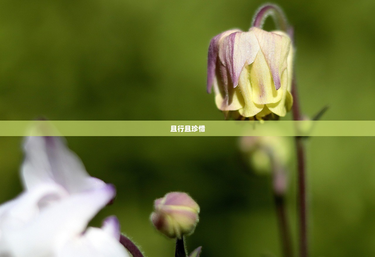 且行且珍惜  第1张