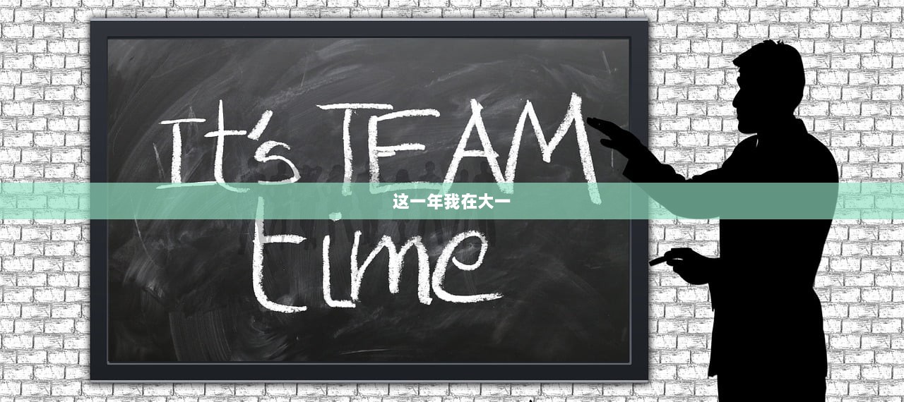 这一年我在大一