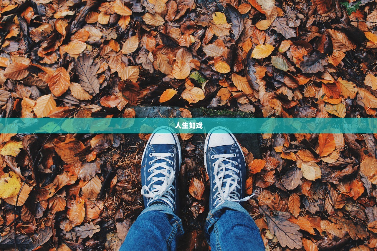 人生如戏  第1张