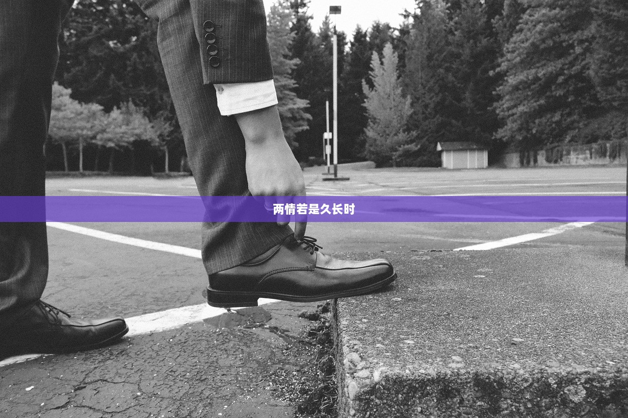 两情若是久长时