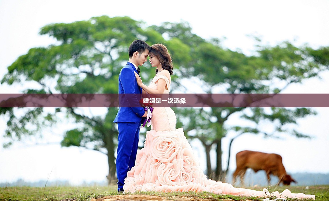 婚姻是一次选择