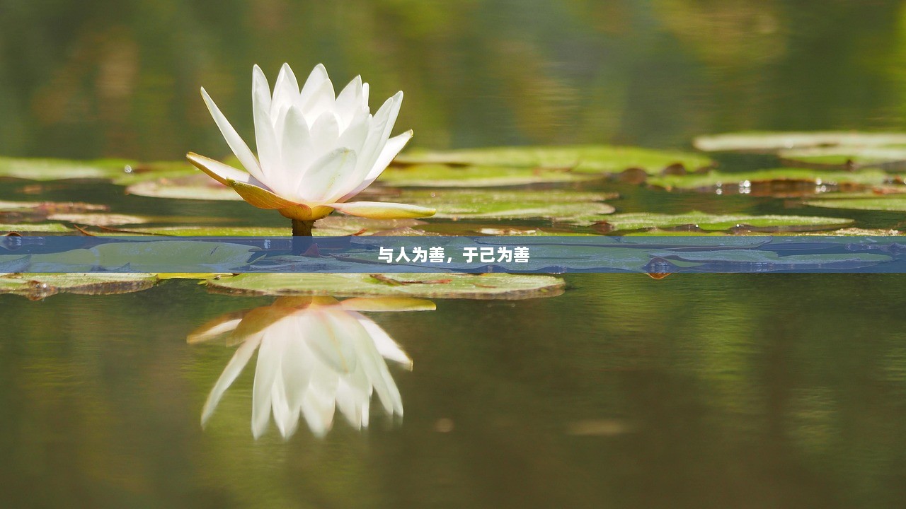 与人为善，于己为善