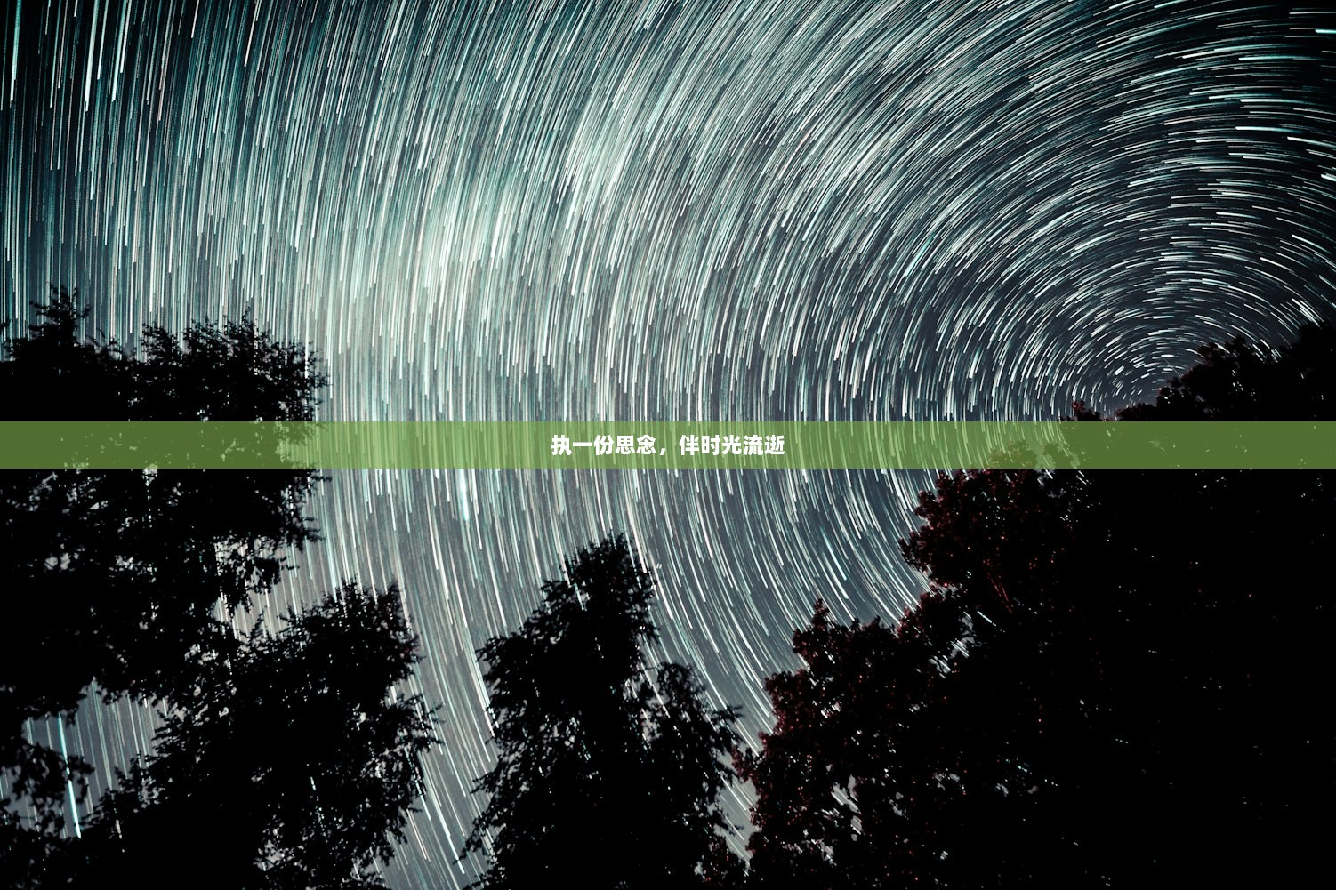 执一份思念，伴时光流逝