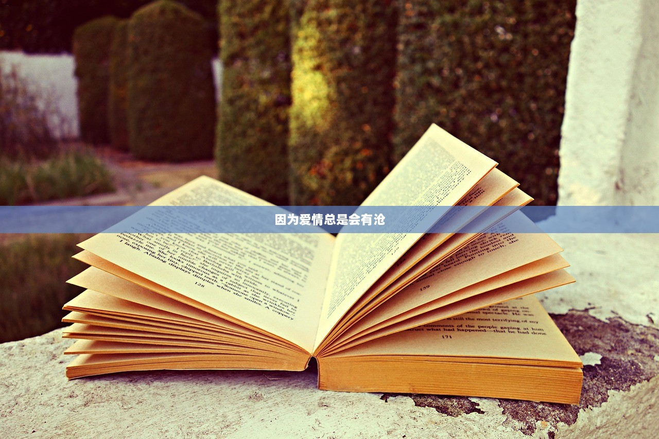 因为爱情总是会有沧