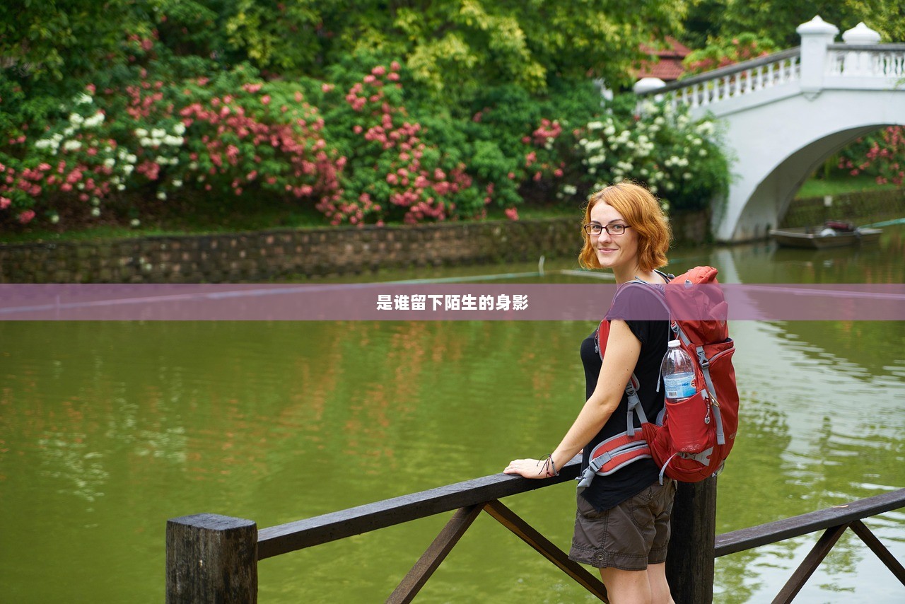 是谁留下陌生的身影