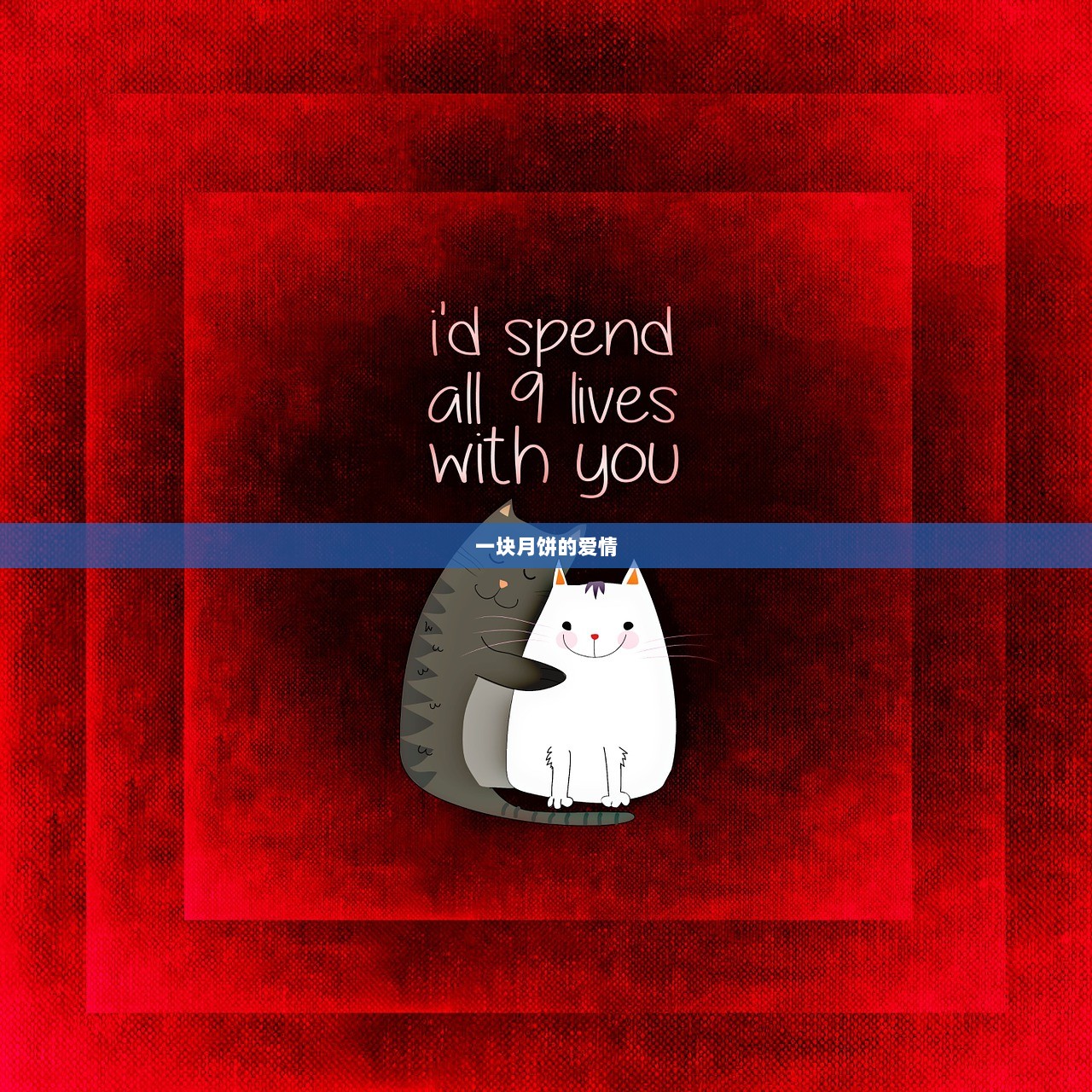 一块月饼的爱情