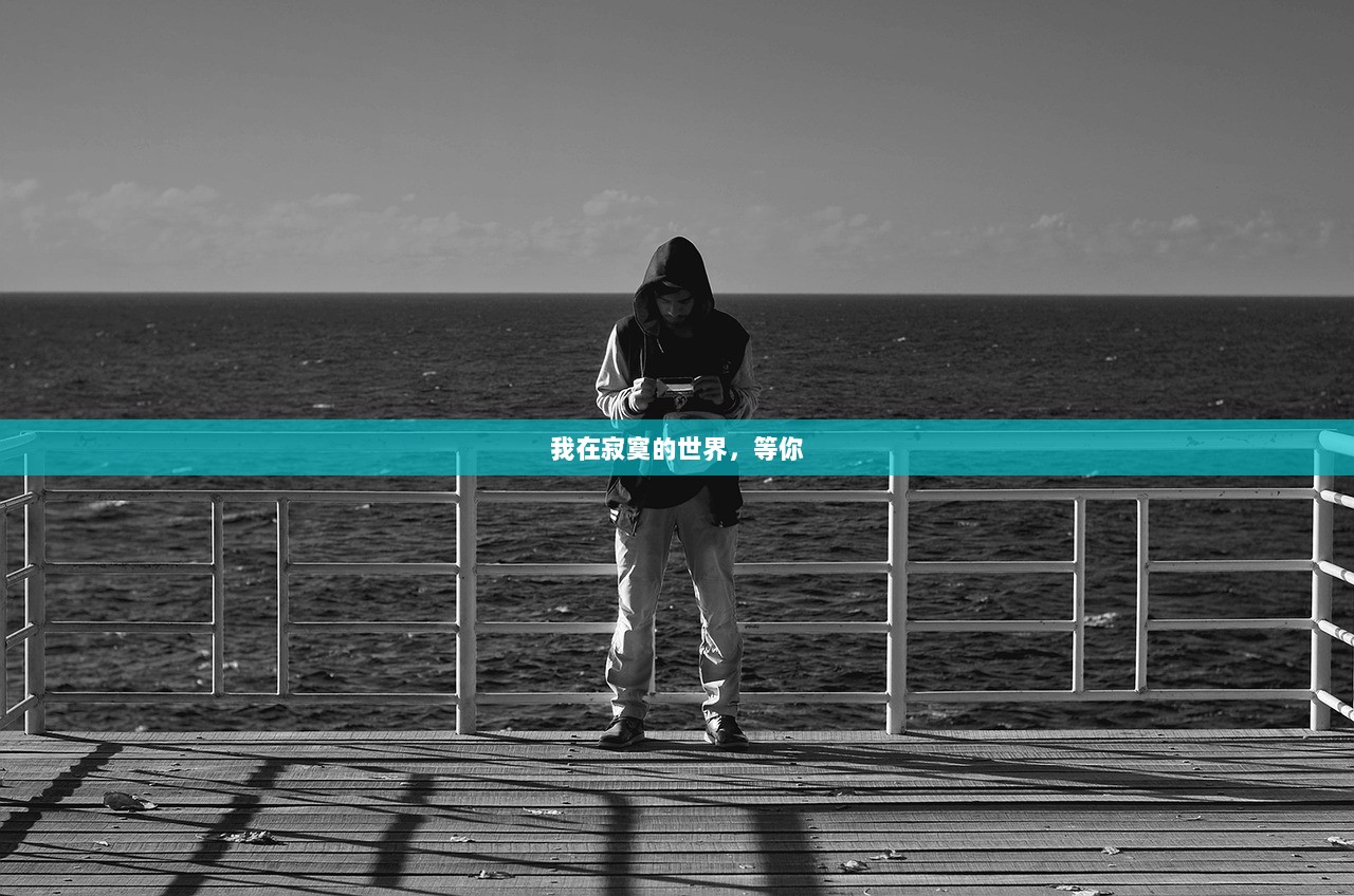 我在寂寞的世界，等你
