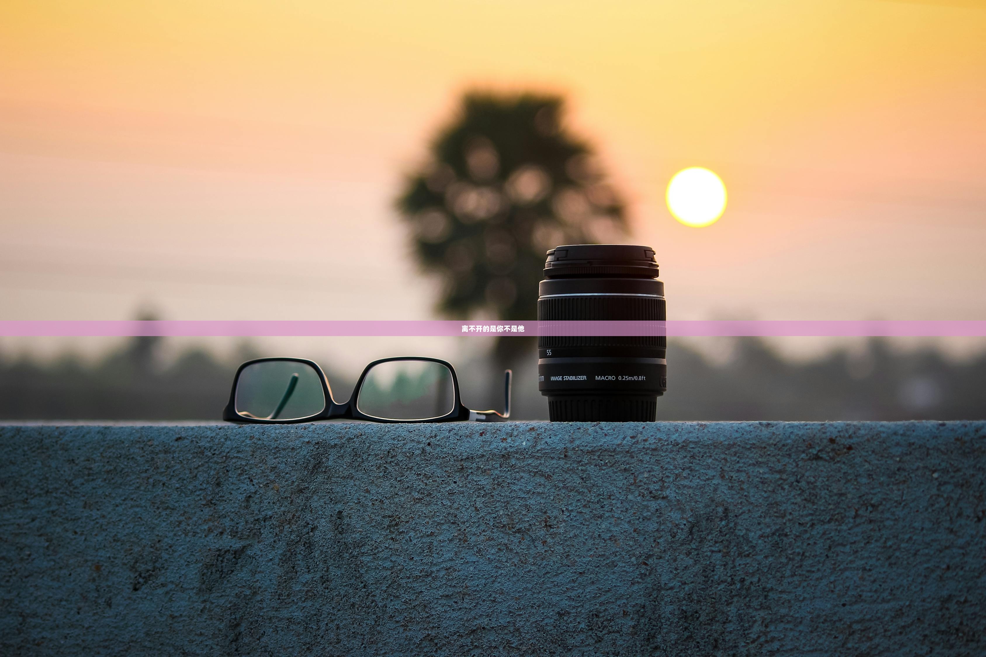 离不开的是你不是他