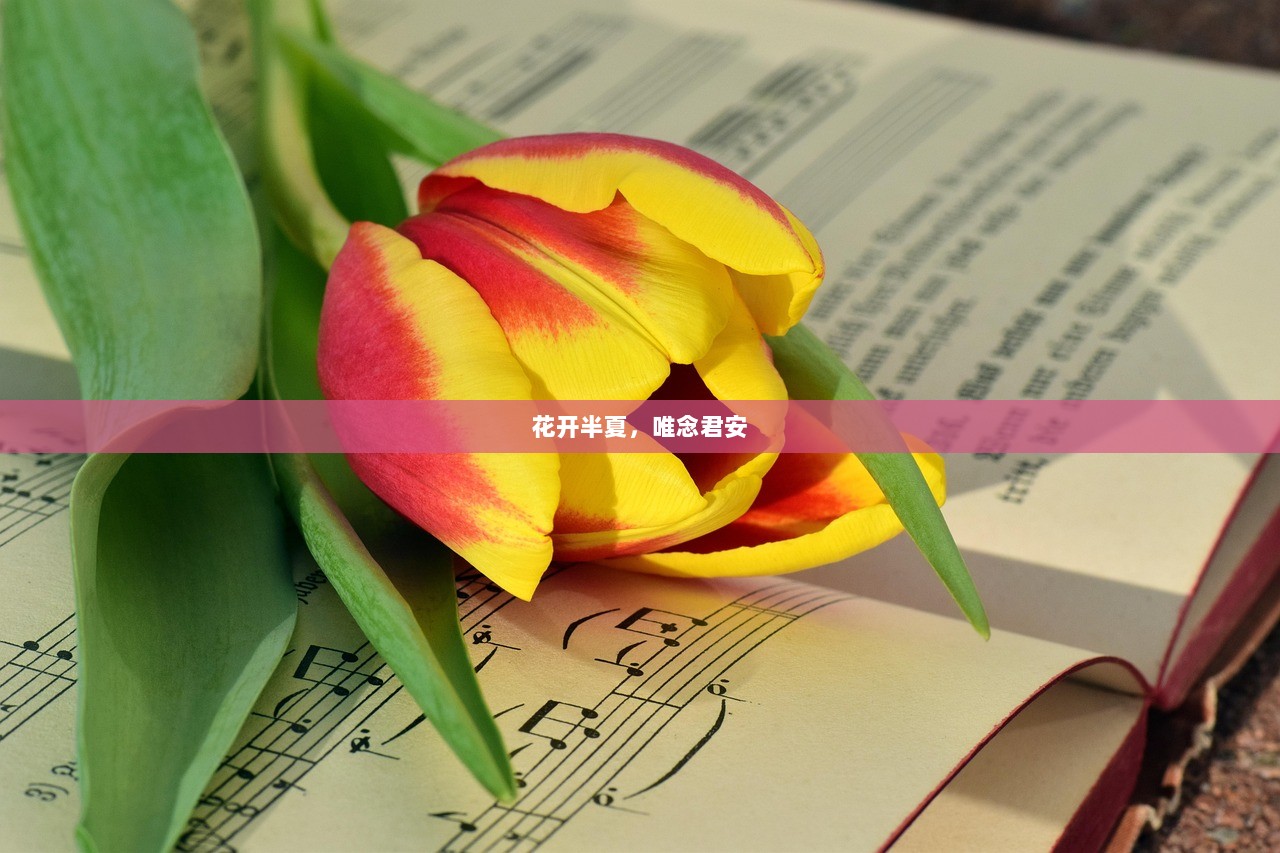 花开半夏，唯念君安  第1张