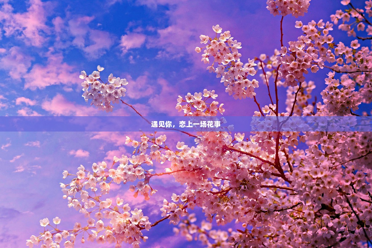 遇见你，恋上一场花事
