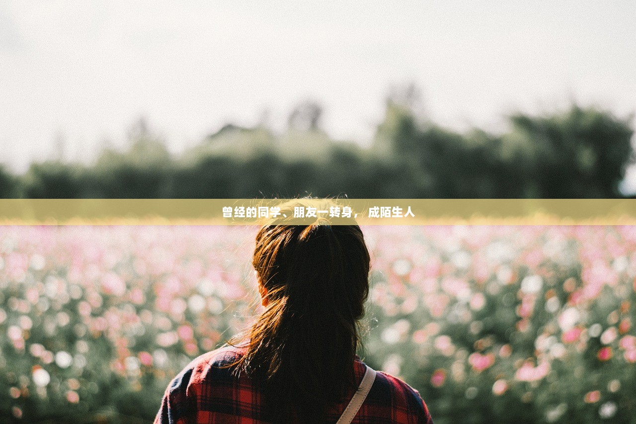 曾经的同学、朋友一转身， 成陌生人