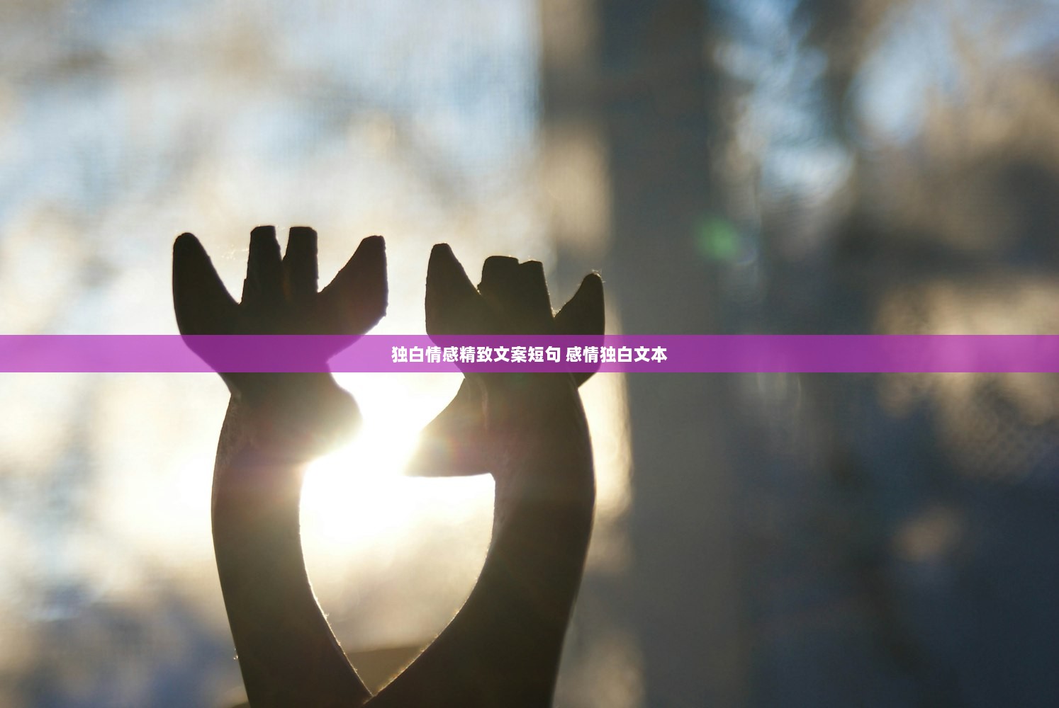 独白情感精致文案短句 感情独白文本