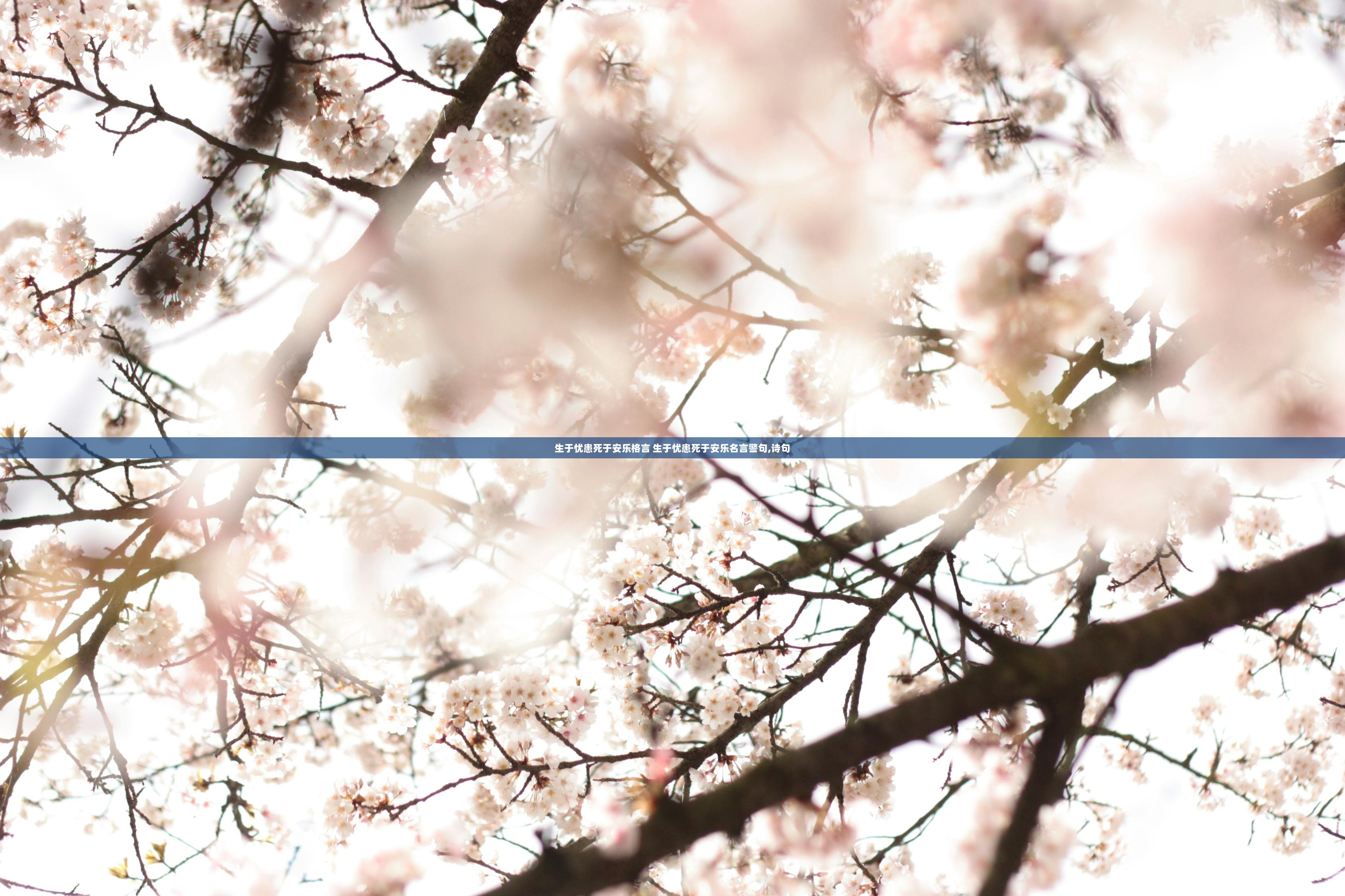 生于忧患死于安乐格言 生于忧患死于安乐名言警句,诗句