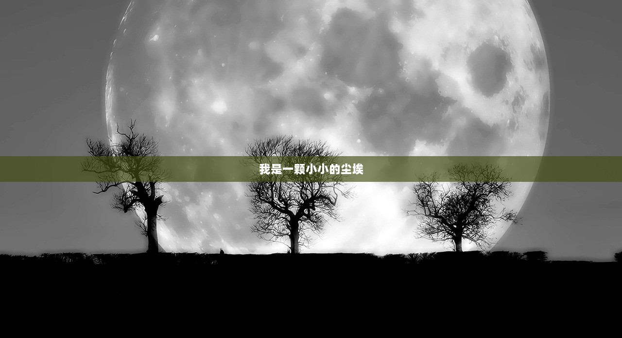 我是一颗小小的尘埃