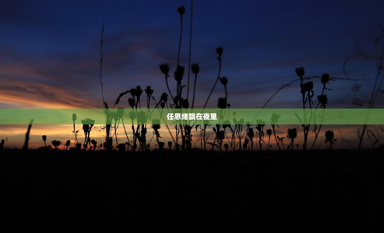 任思绪飘在夜里