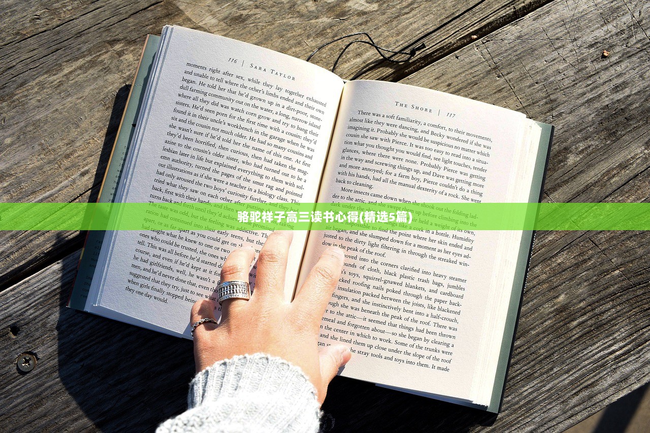 骆驼祥子高三读书心得(精选5篇)