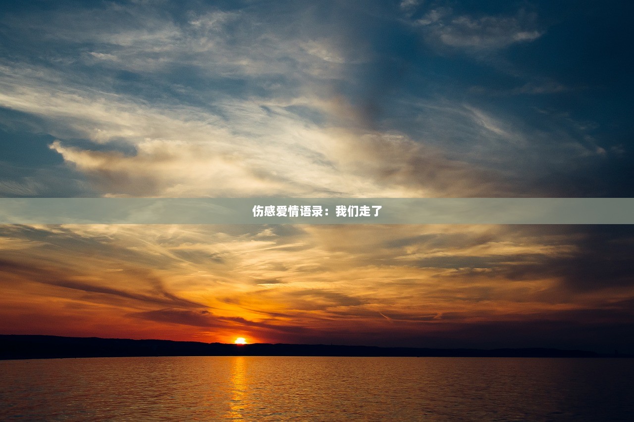 伤感爱情语录：我们走了  第1张