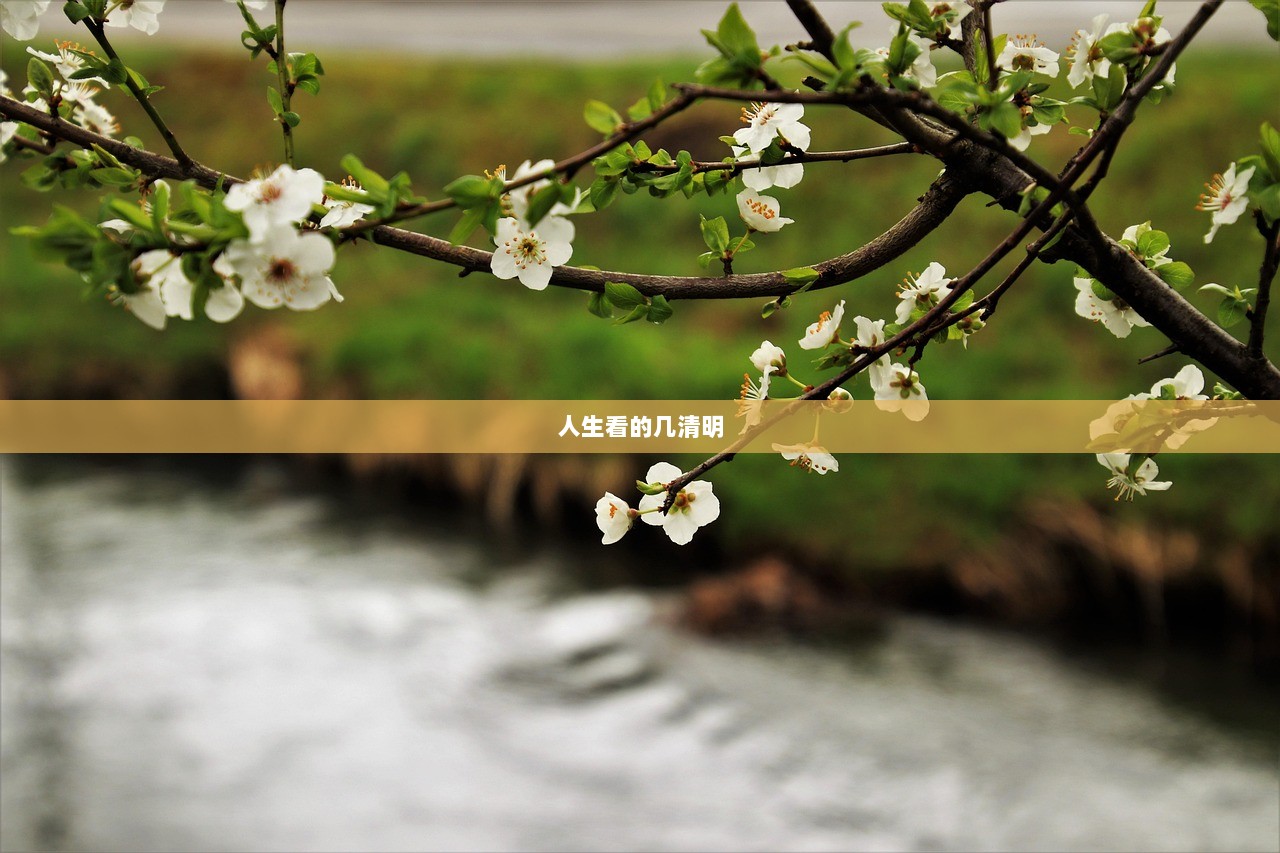 人生看的几清明