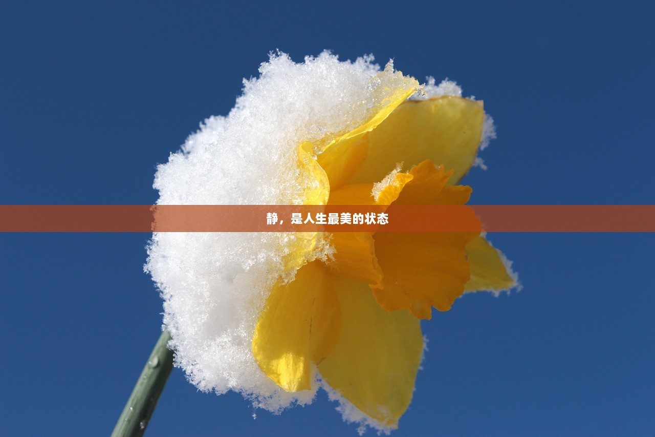 静，是人生最美的状态